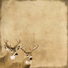 SugarTree - 12 x 12 Paper - Antlered Deer
