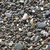 SugarTree - 12 x 12 Paper - River Pebbles