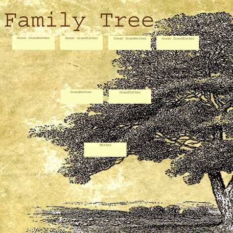 SugarTree - 12 x 12 Paper - Family Tree Left