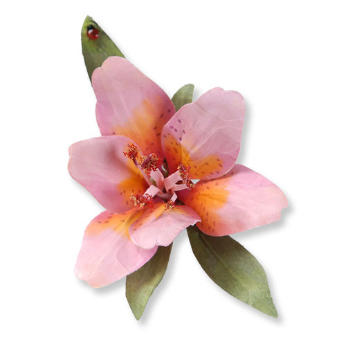 Sizzix - Susan's Garden Collection - Thinlits Die - Flower, Lily