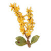 Sizzix - Susan's Garden Collection - Thinlits Die - Flower, Forsythia