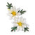 Sizzix - Susan&#039;s Garden Collection - Thinlits Die - Flower, Mini Daisy