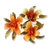 Sizzix - Susan&#039;s Garden Collection - Thinlits Die - Flower, Mini Lily