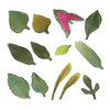 Sizzix - Susan's Garden Collection - Thinlits Die - Leaves, Garden