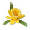 Sizzix - Susan's Garden Collection - Thinlits Die - Flower, Daffodil