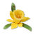 Sizzix - Susan&#039;s Garden Collection - Thinlits Die - Flower, Daffodil