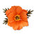 Sizzix - Susan&#039;s Garden Collection - Thinlits Die - Flower, Poppy