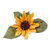Sizzix - Susan&#039;s Garden Collection - Thinlits Die - Flower, Sunflower