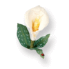 Sizzix - Susans Garden - Thinlits Die - Die Cutting Template - Flower, Calla Lily