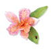 Sizzix - Susans Garden - Thinlits Die - Die Cutting Template - Flower, Cattleya