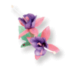 Sizzix - Susans Garden - Thinlits Die - Die Cutting Template - Flower, Fuchsia