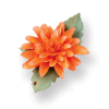 Sizzix - Susans Garden - Thinlits Die - Die Cutting Template - Flower, Dahlia