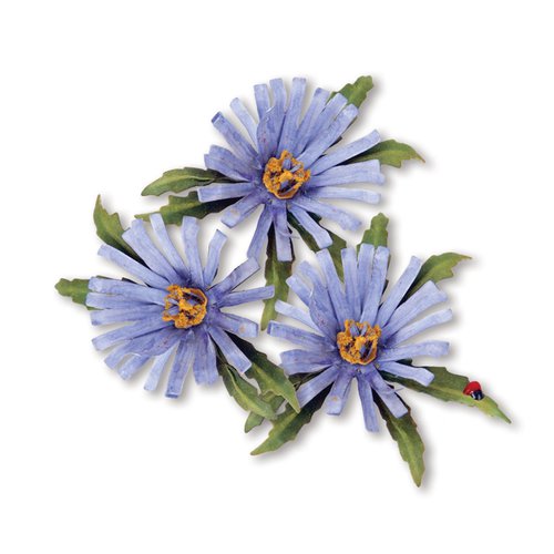 Sizzix - Susans Garden Collection - Thinlits Die - Flower, Aster