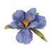 Sizzix - Susans Garden Collection - Thinlits Die - Flower, Bearded Iris