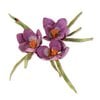 Sizzix - Susans Garden Collection - Thinlits Die - Flower, Crocus