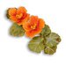 Sizzix - Susan's Garden Collection - Thinlits Die - Flower, Nasturtium