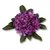Sizzix - Susan&#039;s Garden Collection - Thinlits Die - Flower, Rhododendron
