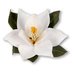 Sizzix - Susan's Garden Collection - Thinlits Die - Flower, Southern Magnolia