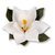 Sizzix - Susan&#039;s Garden Collection - Thinlits Die - Flower, Southern Magnolia