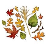Sizzix - Tim Holtz - Alterations Collection - Thinlits Die - Fall Foliage