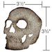 Sizzix - Tim Holtz - Alterations Collection - Halloween - Bigz Die - Skull