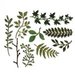 Sizzix - Tim Holtz - Alterations Collection - Thinlits Dies - Garden Greens