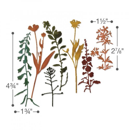 Sizzix - Tim Holtz - Alterations Collection - Thinlits Die - Wildflowers 2
