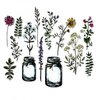 Sizzix - Tim Holtz - Alterations Collection - Framelits Dies - Flower Jar