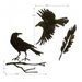 Sizzix - Tim Holtz - Alterations Collection - Halloween - Thinlits Die - Feather and Ravens