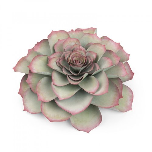 Sizzix - Celebrations Collection - Framelits Die - Large Succulent