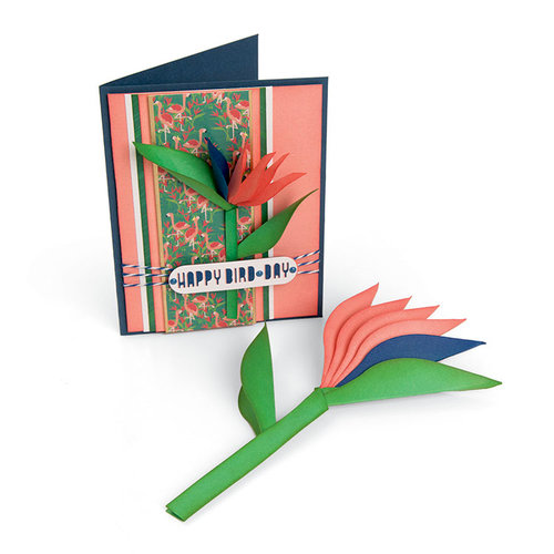 Sizzix - Tropicool Vibes Collection - Framelits Die - Bird of Paradise, 2D and 3D