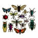 Sizzix - Tim Holtz - Alterations Collection - Framelits Dies - Entomology