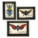 Sizzix - Tim Holtz - Alterations Collection - Thinlits Die - Geo Insects