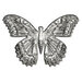 Sizzix - Tim Holtz - 3D Impresslits Embossing Folder and Dies - Butterfly