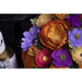 Sizzix - Thinlits Dies - Gerbera Flower