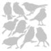 Sizzix - Tim Holtz - Thinlits Dies - Silhouette Birds