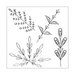 Sizzix - Framelits Dies and Clear Acrylic Stamps - Decorative Leaves