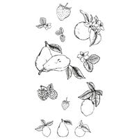 image of Sizzix - Clear Acrylic Stamps - Botanical Fruit