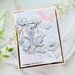 Sizzix - 49 and Market Collection - Framelits Dies with Clear Stamps - Painted Pencil Botanical