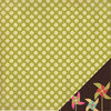 Three Bugs In a Rug - Ashtyn Collection - 12 x 12 Double Sided Paper - Polka Dot
