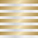 Teresa Collins - Signature Essentials Collection - 12 x 12 Clear Paper - Gold Cabana