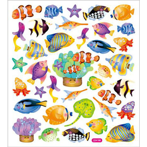 Sticker King - Clear Stickers - Reef Fish