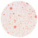 Nuvo - Merry and Bright Collection - Mica Mist - Crimson Velvet