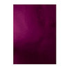 Tonic Studios - Arabian Nights Collection - Mirror Card Gloss - A4 - Midnight Plum - 5 Pack