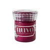 Nuvo - Surprise Party - Glimmer Paste - Raspberry Rhodolite