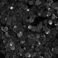 Trinity Stamps - Embellishment Mix - Sparkle Spots Confetti - Black