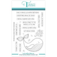 Trinity Stamps - Sweet Summer Celebration Collection - Clear Photopolymer Stamps - Whale Done