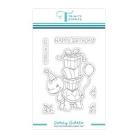 Trinity Stamps - Clear Photopolymer Stamps - Tardy Turtle