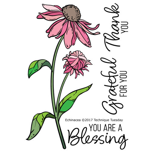 Technique Tuesday - Greenhouse Society Collection - Clear Photopolymer Stamps - Echinacea