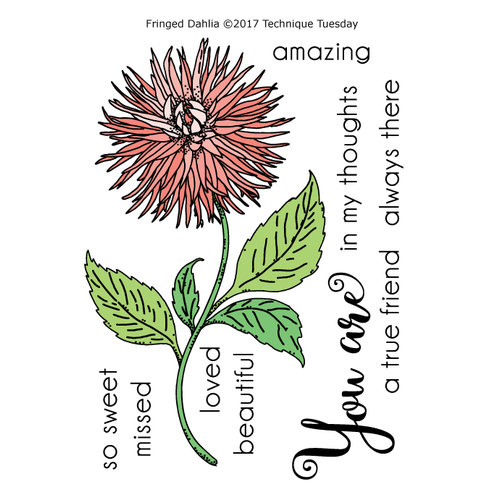 Technique Tuesday - Greenhouse Society Collection - Clear Acrylic Stamps - Fringed Dahlia